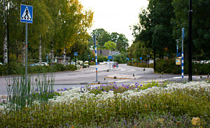 Vy från korsningen Högbergsgatan/Östra Långgatan med planteringen i förgrunden