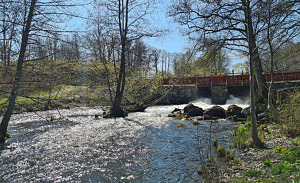 Vattnet nedanför Husby kvarn glittrar i solskenet, i bakgrunden syns det forsande vattnet vid dammluckorna under gångbron
