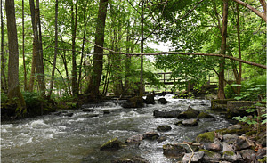 Åvattnet forsar förbi över stora stenar och stockar, höga träd syns utmed åkanterna. På håll syns Nygårdsdammens lilla bro.