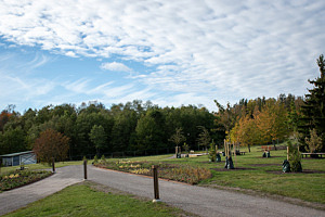 Park med gångväg, träd och växter. I bakgrunden syns skogen.