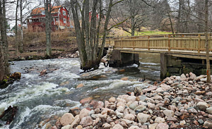 Nedan bron vid Nygårdsdammen efter fiskepassageprojektet syns högvattnet forsa under gångbron. Stenar ligger utmed åkanterna.