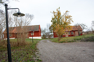Två röda stugor, utomhus senhöst, färgade löv. En lyktstolpe i förgrunden.
