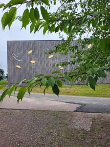 Konstverket Schvung i guld monterat på sporthallen Multums grå träfasad.