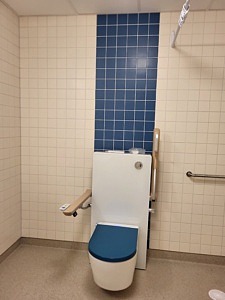 Badrum med höj och sänkbar toalett.