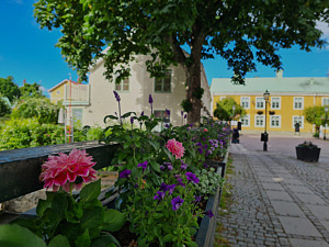 Utomhus. Torgbron, rosa blommor, vitt hus, träd med gröna löv och ett gult hus i bakgrunden. Gågata med kullersten.