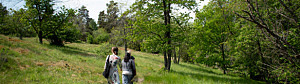 Utomhus. Blå himmel, gröna träd och buskar. Gräs och en stig. Tre människor som promenerar.