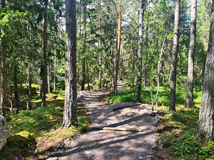 Dekorativ bild Vitalisskogen.