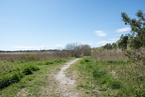 Gångväg utomhus.