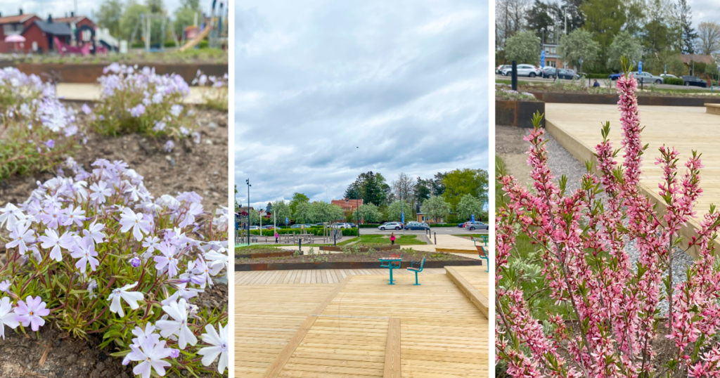 Tre bilder. Den vänstra visar blå blommor i en rabatt, den i mitten visar ett stort trädäck med en lekpark i bakgrunden, den högra visar rosa blommor i en rabatt.