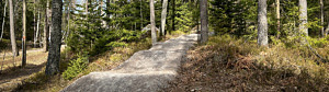 Utomhus. Grusad cykelled i skogen.