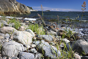 Utomhus, klippor, stenar, hav, grässtrå