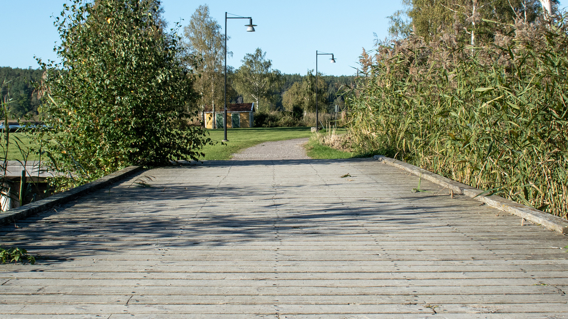 Träbro på en gång- och cykelväg. Vass och annan växtlighet runt om.